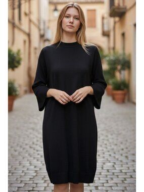 Eileen Fisher Petite Black Italian Wool Blend Long-Sleeve A-Line Dress PS